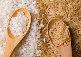 Riz blanc et riz complet