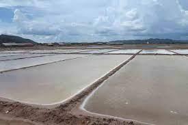 Salines 1